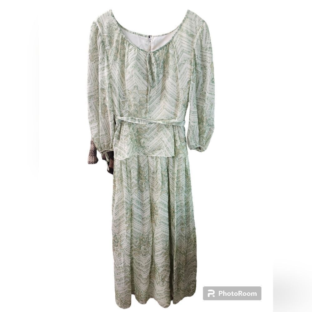 70s Designer David E Rae Sage Green Puff Sleeve Sheer Maxi Gown Lined Floral Vtg